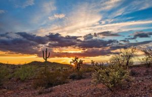 Vermillion Investments, LLC - We Buy Land